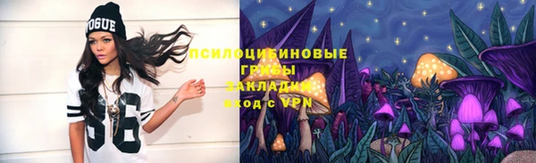 сатива Бородино