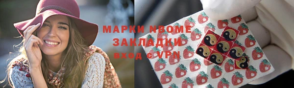сатива Бородино