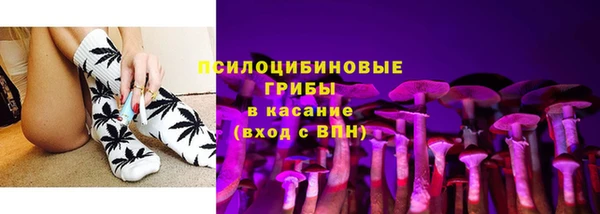 сатива Бородино