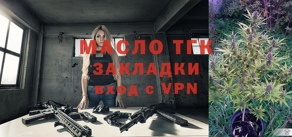 сатива Бородино