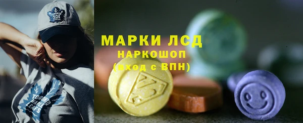 сатива Бородино