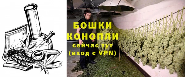 сатива Бородино