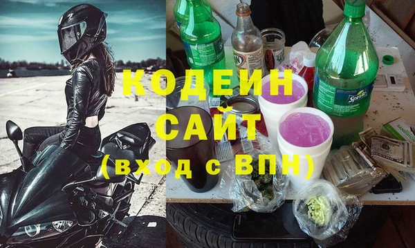 сатива Бородино