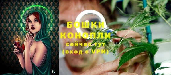 сатива Бородино