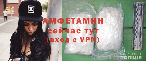 сатива Бородино