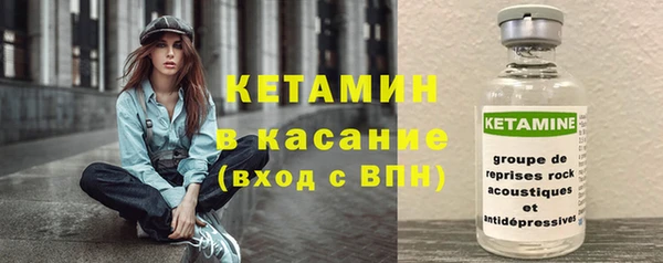 сатива Бородино