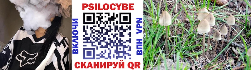 Галлюциногенные грибы Psilocybine cubensis  ссылка на мегу ссылка  Ленинградская 